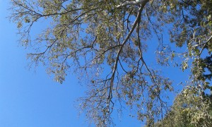 foto-seconda
