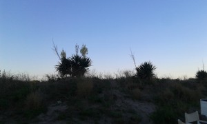 foto-terza