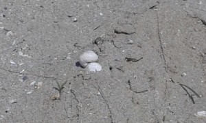 20160927_134356
