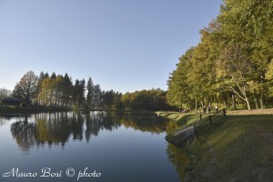 Autunno al lago Pontini Provincia di Forli Cesena
