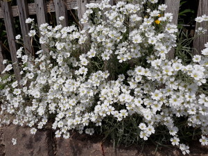 20180528_112737[1]