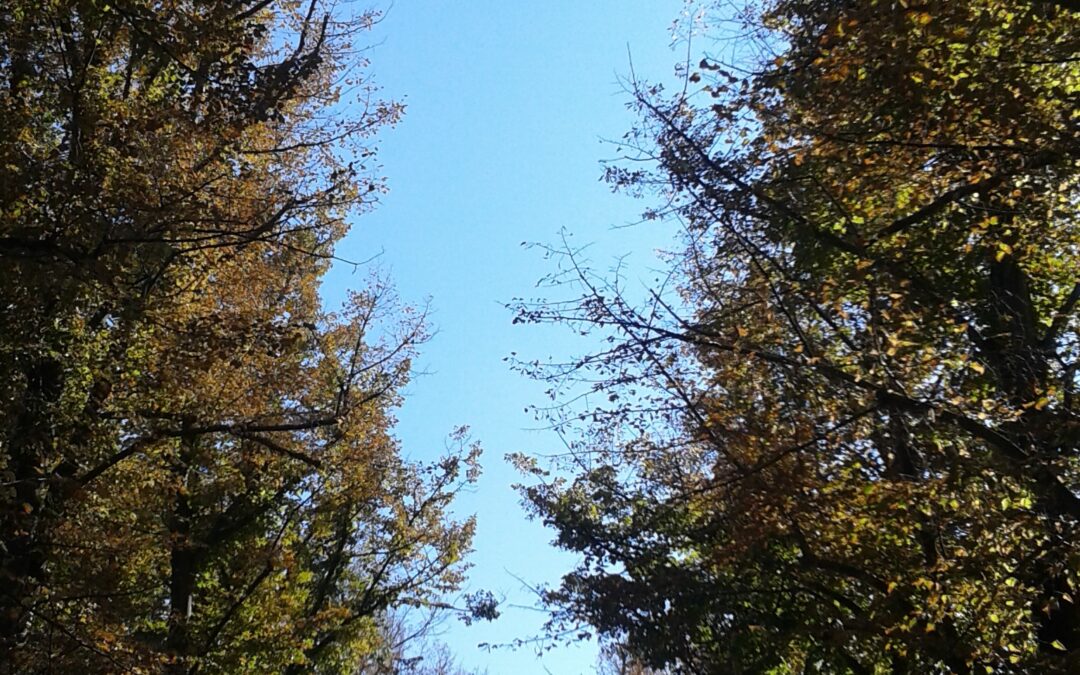La sessione di respiro