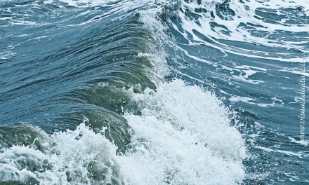SUL RESPIRO: UNA BOCCATA D’ARIA (Parte I)